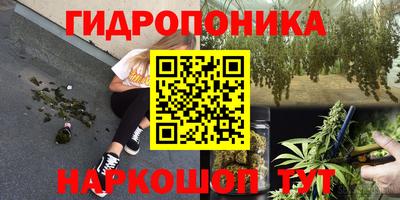 винт Будённовск