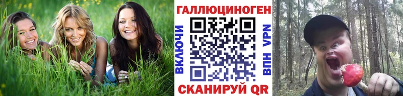 Псилоцибиновые грибы Magic Shrooms  где продают   Новоалтайск 