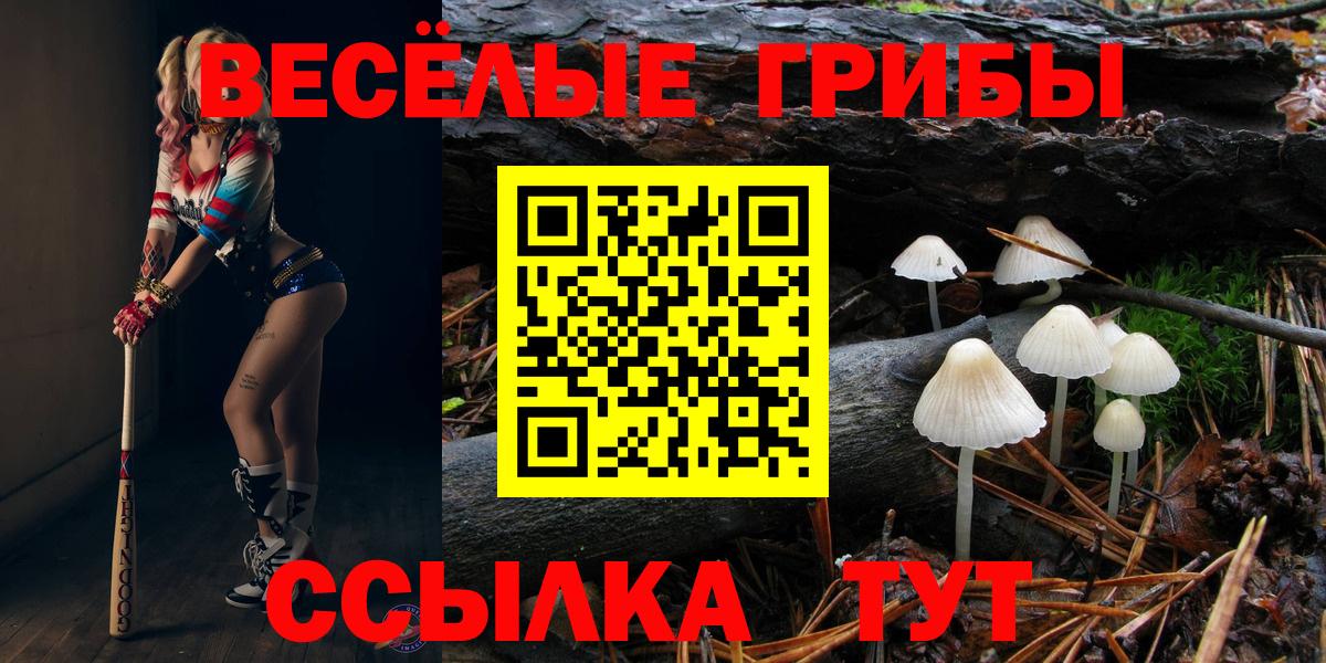 Псилоцибиновые грибы ЛСД  Галлюциногенные грибы Psilocybine cubensis  Новоалтайск  Вход с VPN 