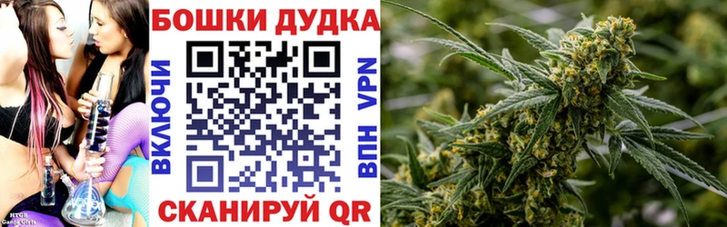 кракен вход  Новоалтайск  МАРИХУАНА ГИДРОПОН 