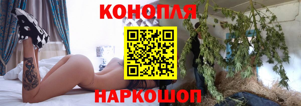 Конопля конопля  Вход с VPN  Шишки марихуана индика  Новоалтайск  Каннабис Ganja  Марихуана MAZAR 
